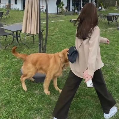 潜行者